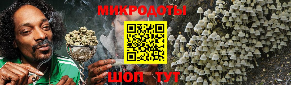 Псилоцибиновые грибы Cubensis Вязьма